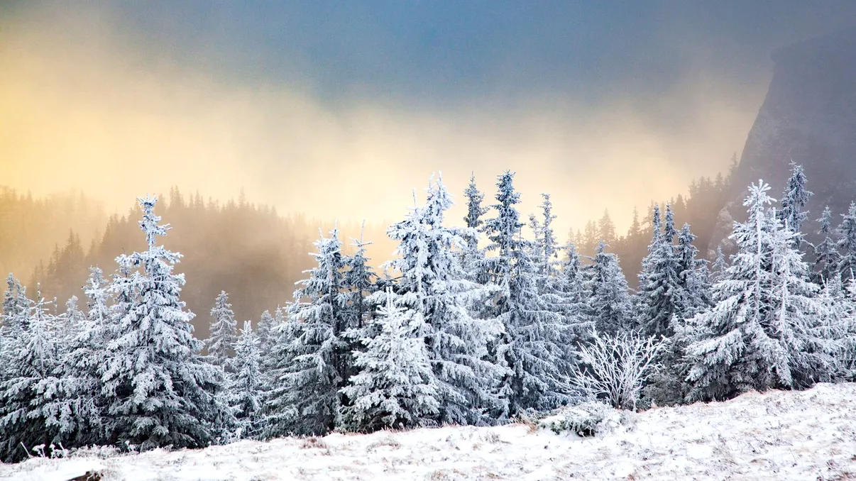 Prognoza meteo pentru decembrie s-a schimbat: iarna își intră în drepturi, dar cu surprize termice