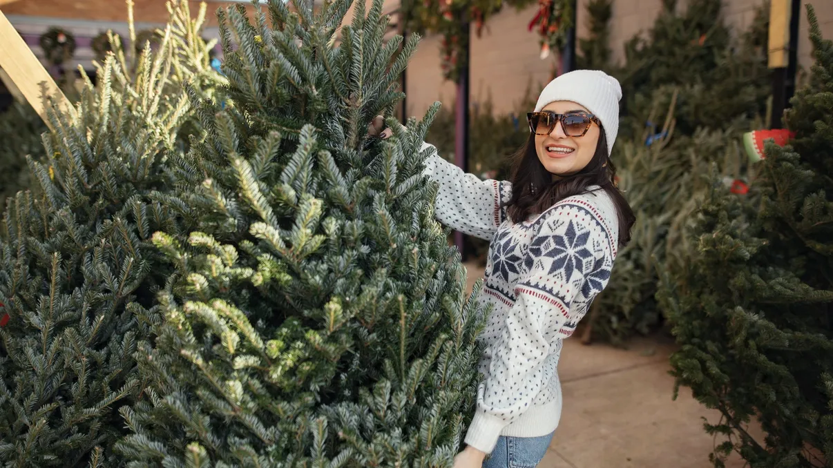 Cât costă un brad de Crăciun în decembrie 2025. Ce prețuri cer comercianții din București pe modelele din Danemarca