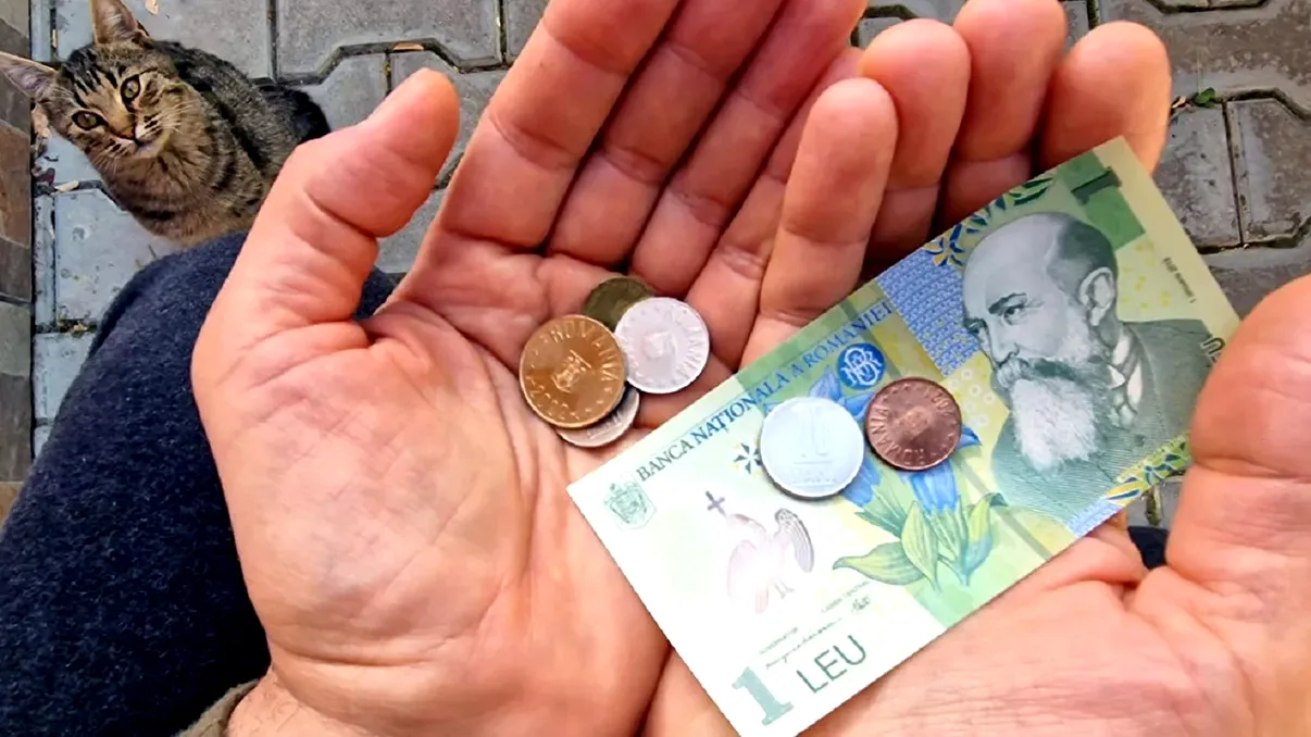 Câte tipuri de ajutor social există în România în 2025 și cine poate beneficia de ele