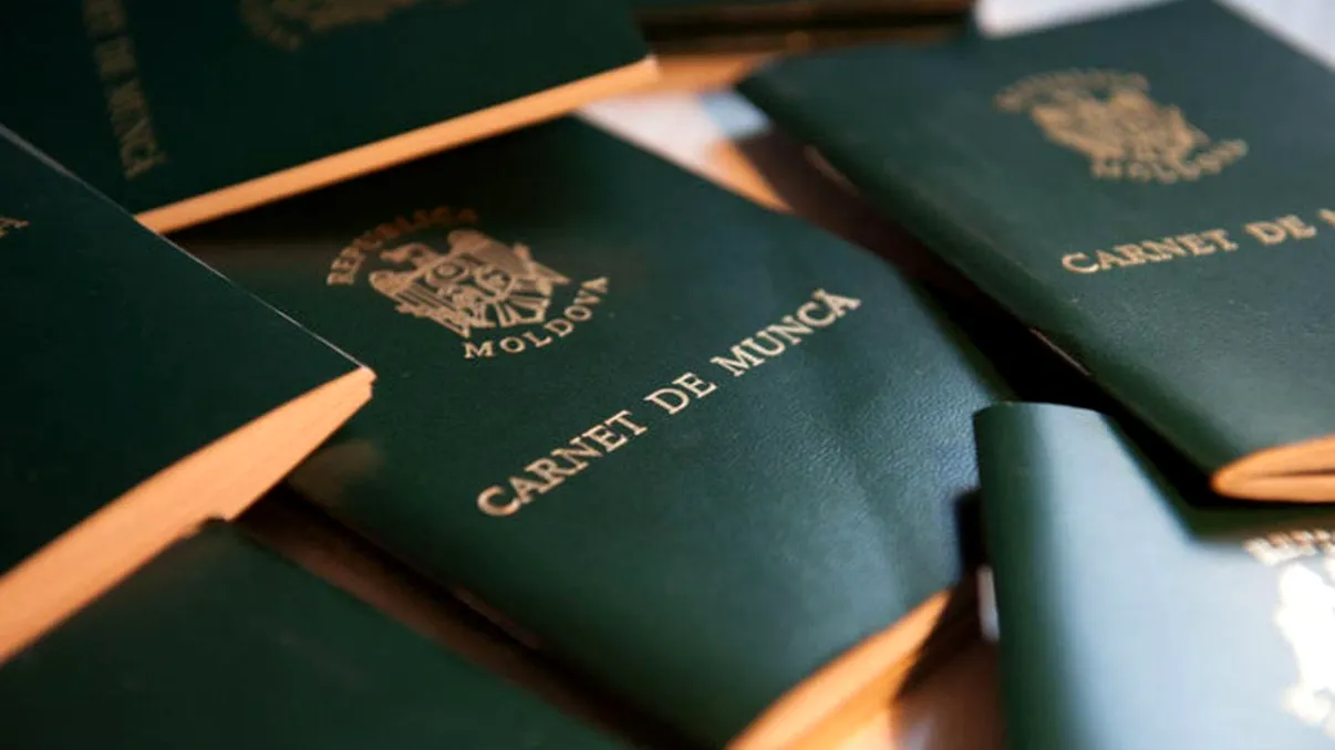 Cum îți verifici cartea de muncă online: ghid complet pentru REGES, ANAF și CNPP