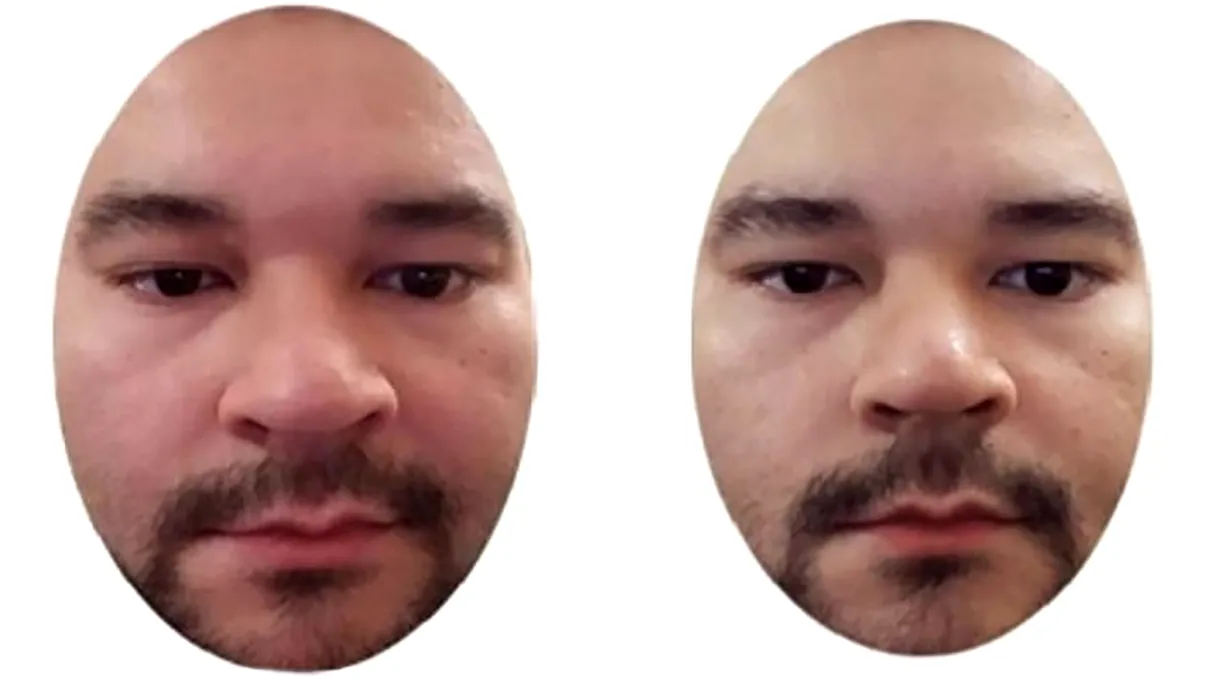 Test rapid: care dintre cele două fețe din imagine arată că suferă. Indiciile mici pe care aproape nimeni nu le vede