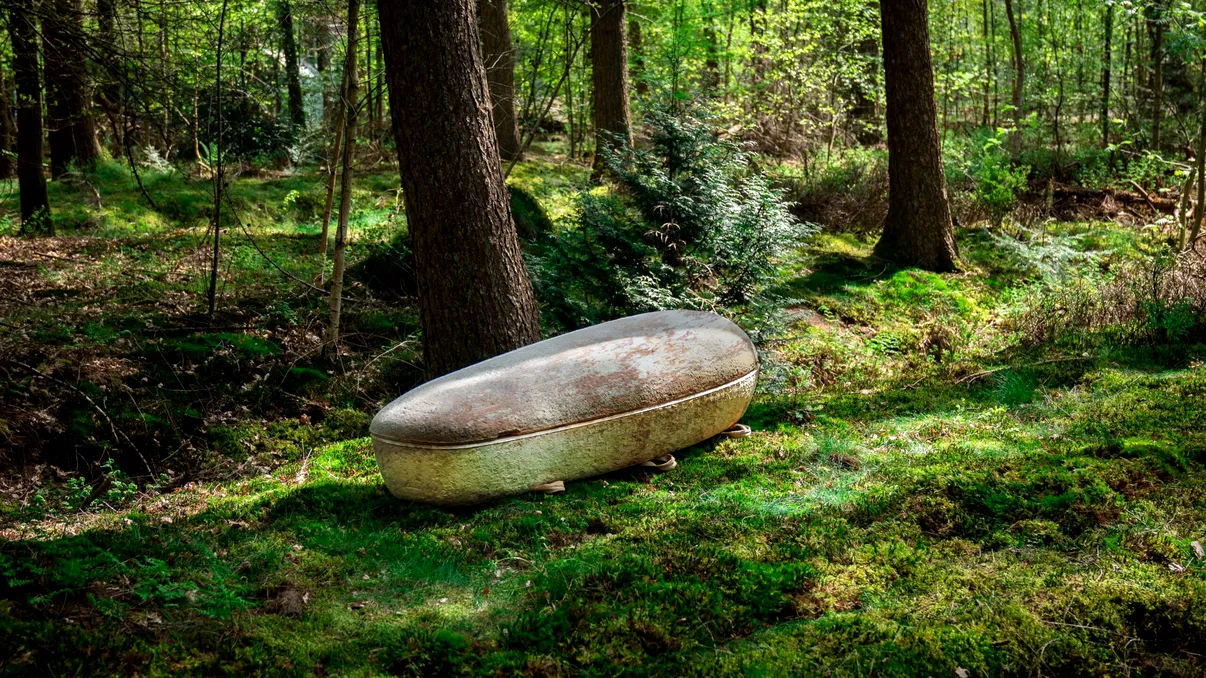 Primul sicriu biodegradabil din lume, făcut din ciuperci: revoluția ecologică ce transformă ritualurile funerare