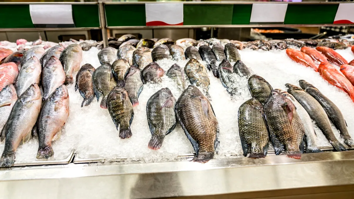 Sute de kilograme de pește cu viermi, retrase urgent din magazine. Cum recunoști carnea stricată