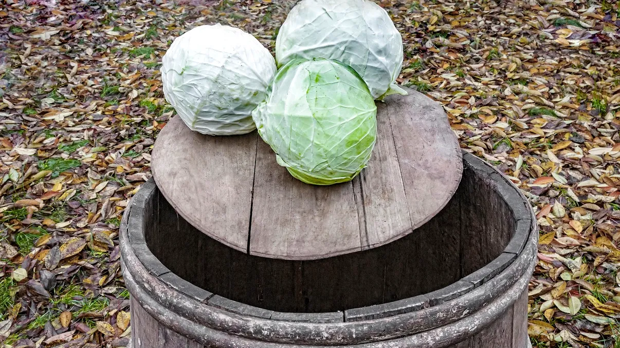 Varză murată fără pritocire. Reţeta simplă care funcţionează de generaţii întregi