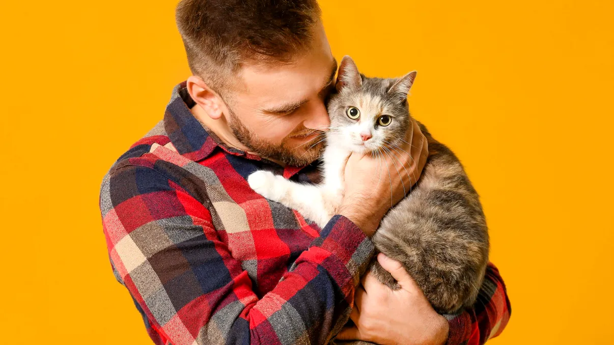 De ce mieună pisicile mult mai des la bărbați? Un nou studiu sugerează un posibil răspuns surprinzător
