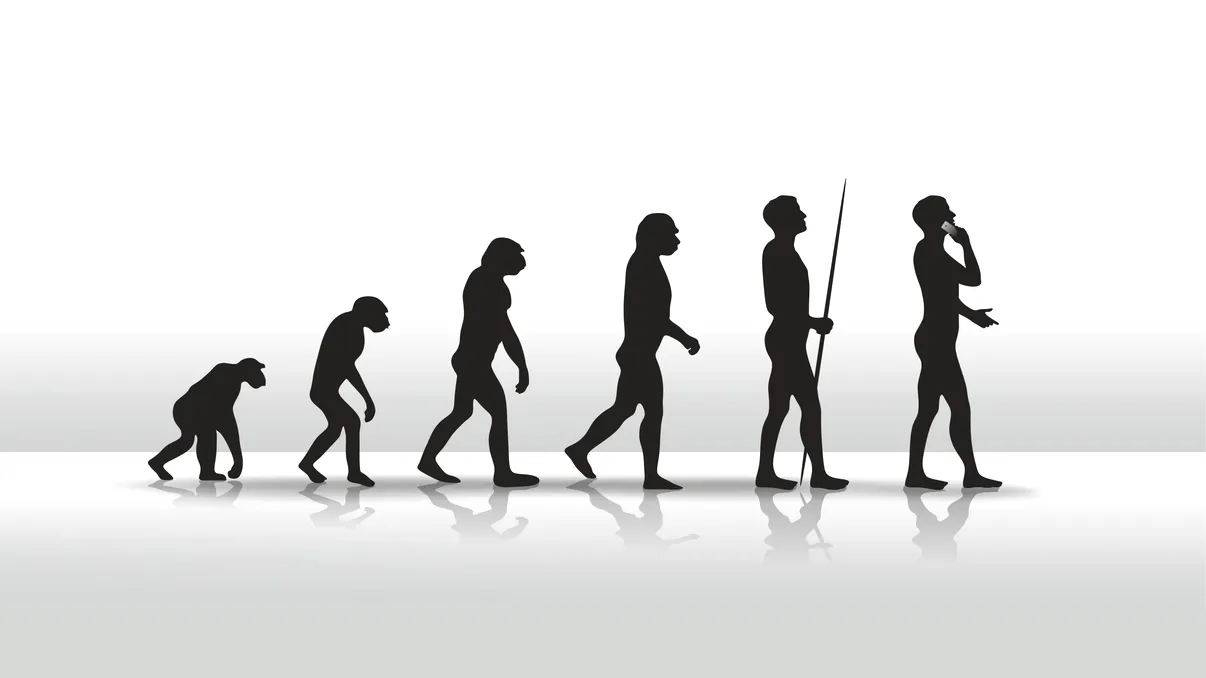 Cel mai longeviv experiment de evoluție continuă din lume a depășit 80.000 de generații