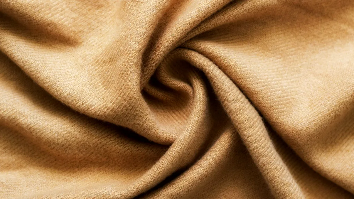 Cum transformă inteligența artificială penele de pui în cașmir sustenabil: Pariul unui startup american