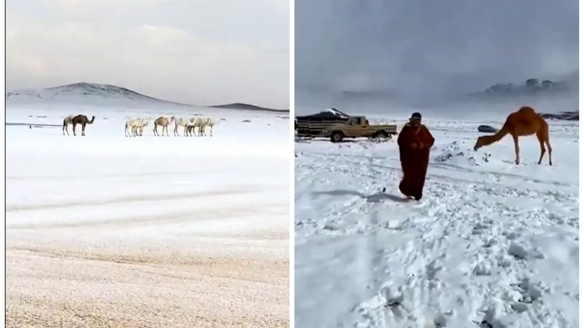 Imagini rare din Arabia Saudită. A nins în deșert pentru prima dată în 30 de ani.  Zăpadă în zonele deșertice FOTO