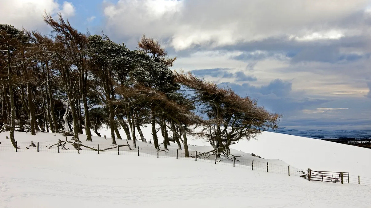 România, sub asediul vântului puternic. 26 de județe, vizate de Cod galben. ANM anunţă şi viscol în anumite zone