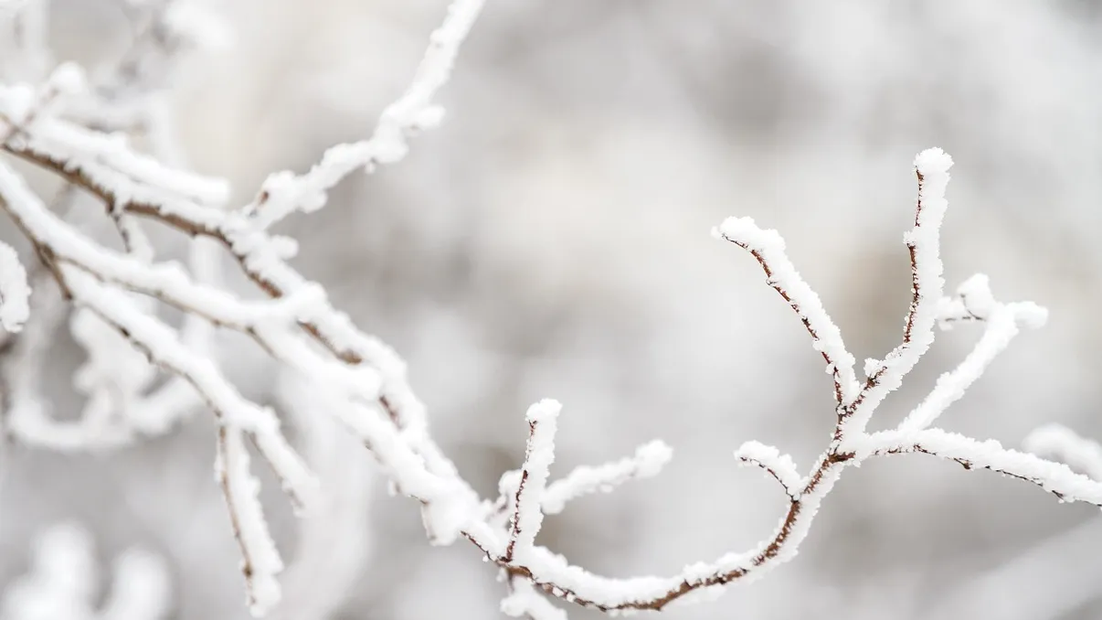Harta frigului: gerul cuprinde aproape toată țara, vor fi -20 de grade Celsius. ANM a extins avertizările UPDATE