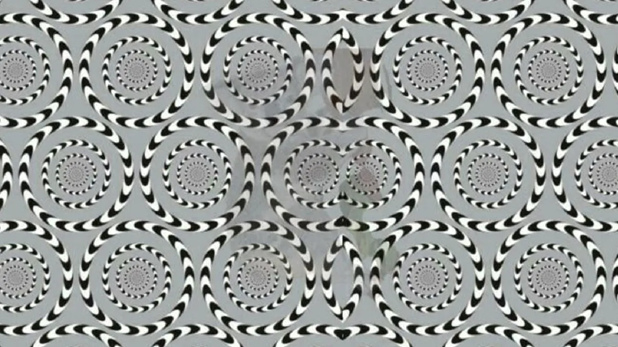 Poţi vedea animalul ascuns în imagine în mai puţin de 8 secunde: înseamnă că ai ochi de vultur