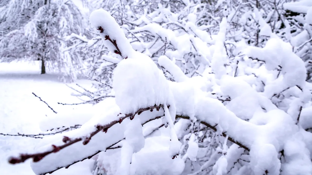 Avertizări meteo pentru următoarele ore: până la 50 de centimetri de zăpadă la munte și viscol puternic în toată țara
