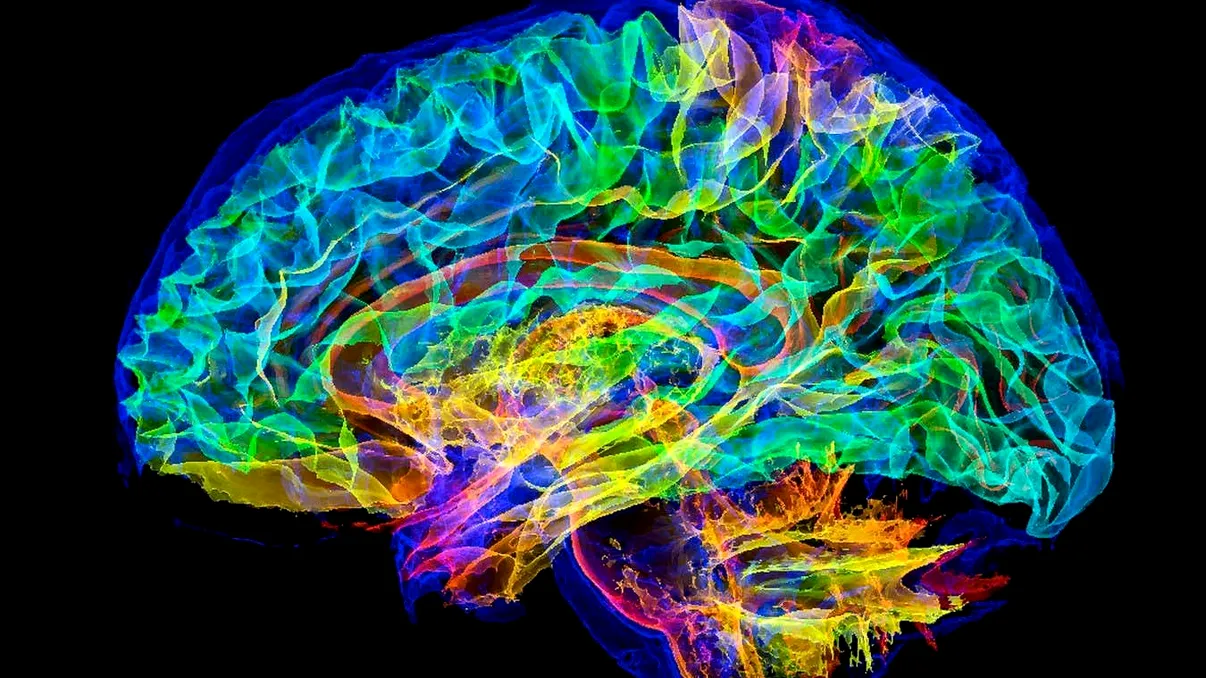 Simularea creierului uman pe un supercomputer: pasul decisiv spre înțelegerea minții umane