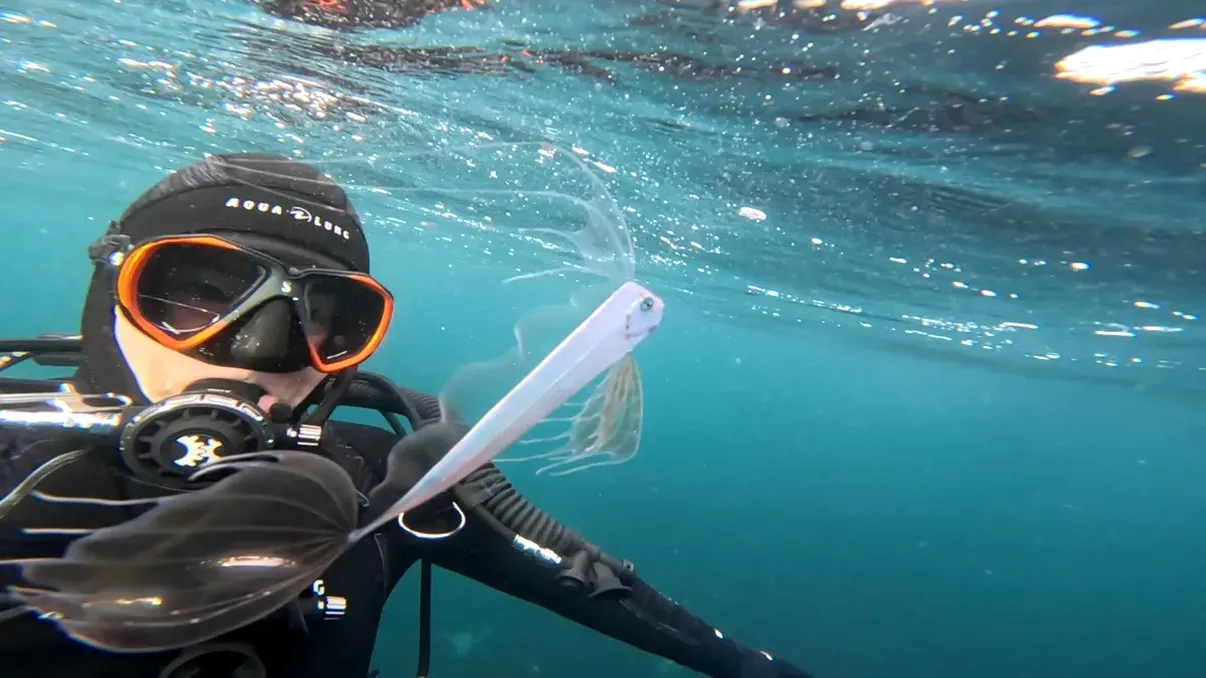 Un scafandru din California a descoperit un pește rar din adâncuri, aproape de suprafață