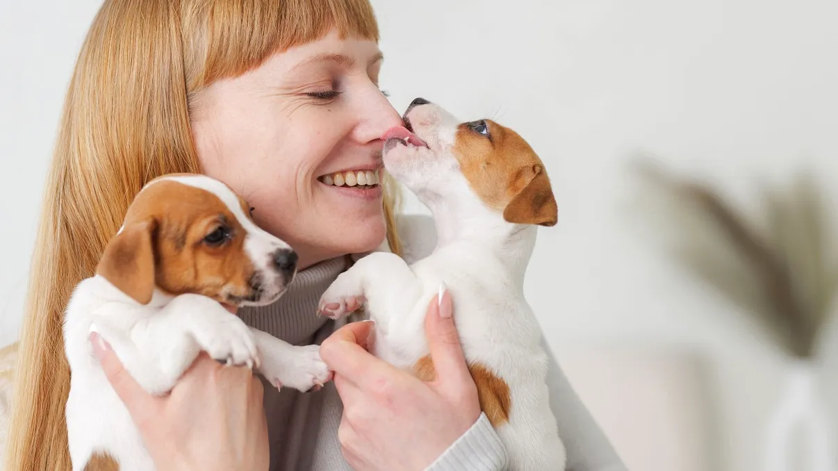 Animale de companie la apartament: când ar putea fi obligați proprietarii să plătească taxe în plus