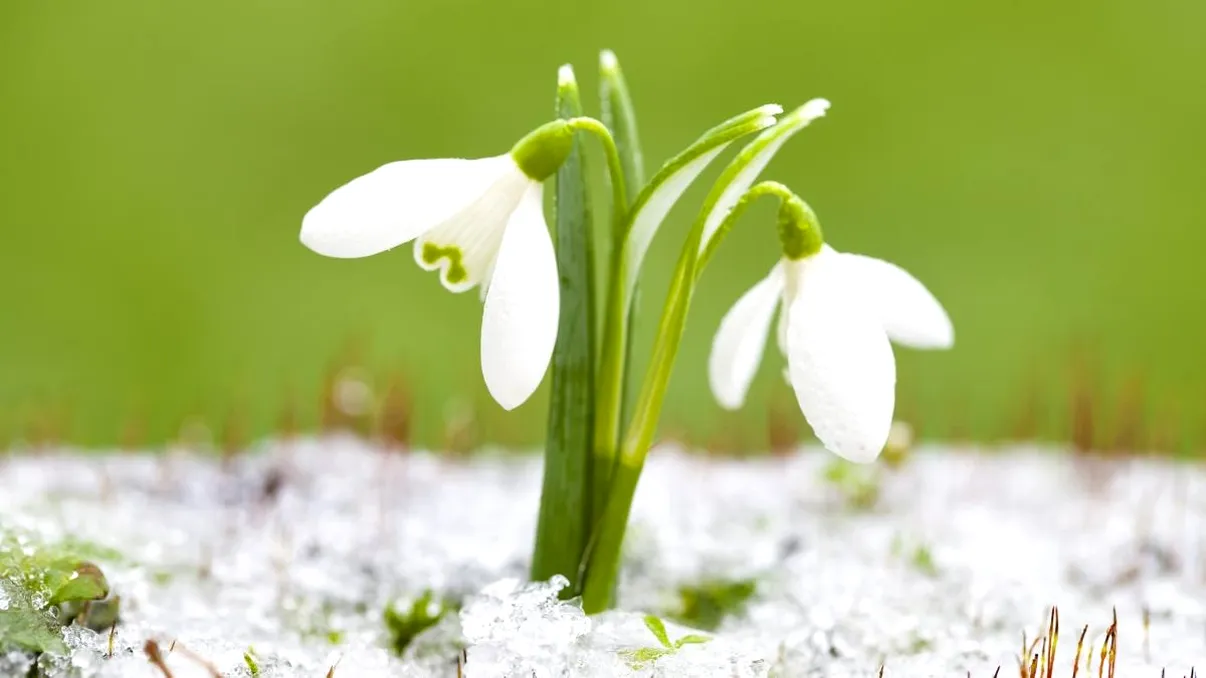 Cum va fi vremea în martie 2026. Prognoza meteo pe săptămâni. Meteorologii nu exclud ninsorile