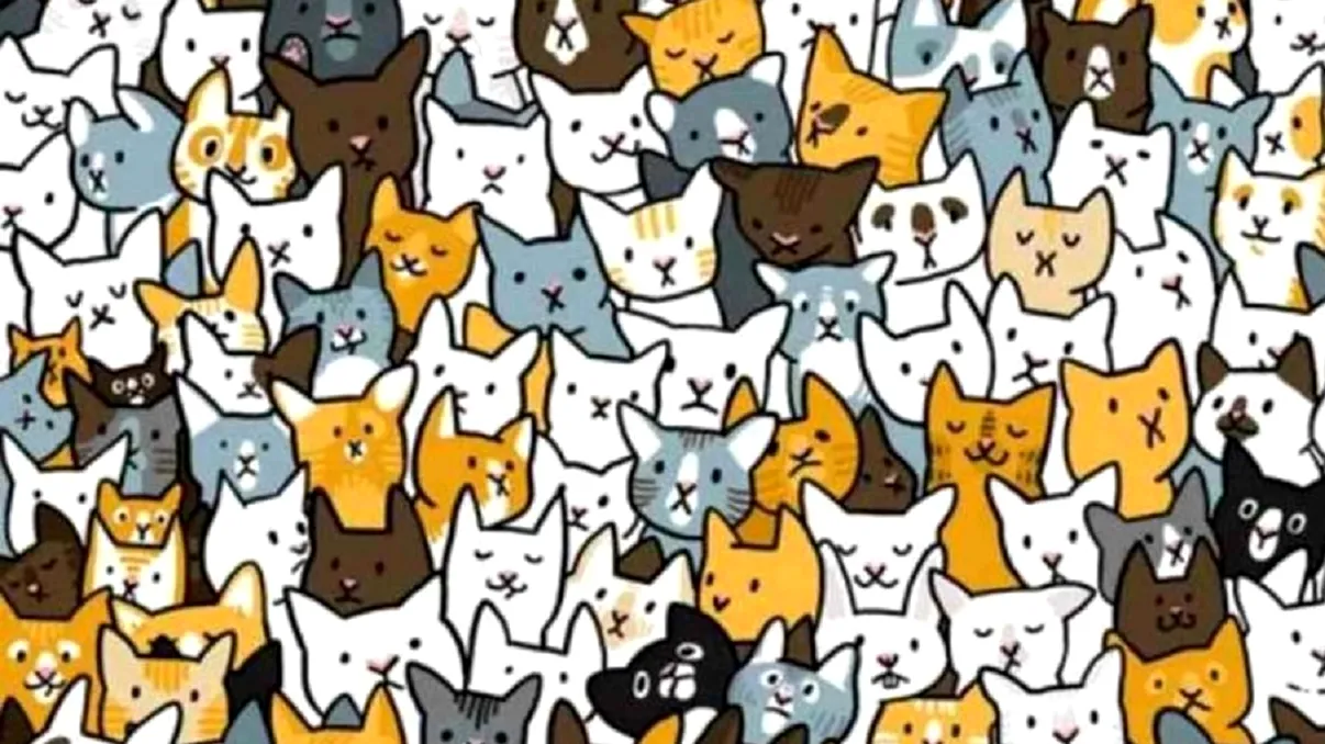 Iluzia optică a momentului. Ai 11 secunde la dispoziţie să găseşti iepuraşul ascuns printre pisici