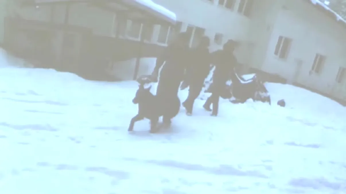 Noi imagini video adâncesc misterul celor șase decese din Bulgaria. Ce au descoperit anchetatorii la autopsii. Ce ar fi făcut bărbații cu câteva zile înainte să moară