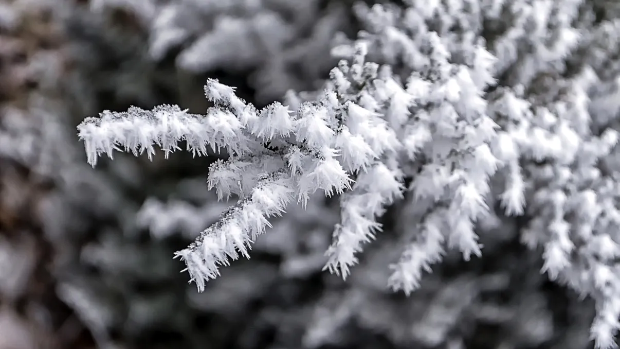 Prognoza meteo pentru următoarele două săptămâni. Vremea se schimbă brusc de la o zi alta