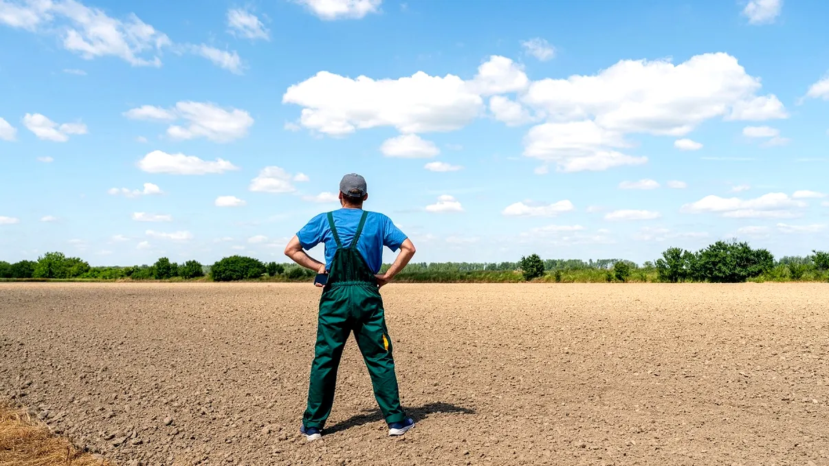 Suprafață mai mare decât în documente: Soluția legală pentru a intra în posesia terenului fără riscuri