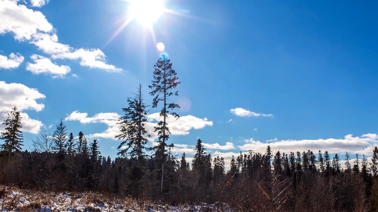 Temperaturi neobișnuite în România după ninsori și frig. Cum va fi vremea până la 1 martie