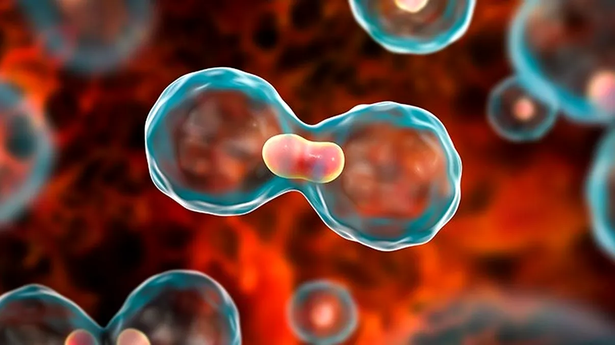 Studiu OMS: Peste o treime din cancere pot fi prevenite. Două obiceiuri de viață sunt responsabile pentru majoritatea cazurilor