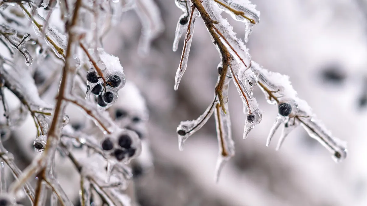 Cod galben de ploi şi de ninsori în toată ţara. Unde va fi cel mai frig în orele următoare