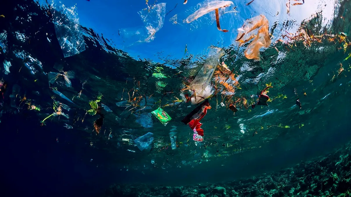 Plasticul care dispare în apă de mare într-o oră: descoperirea cercetătorilor japonezi care poate schimba lupta cu poluarea globală