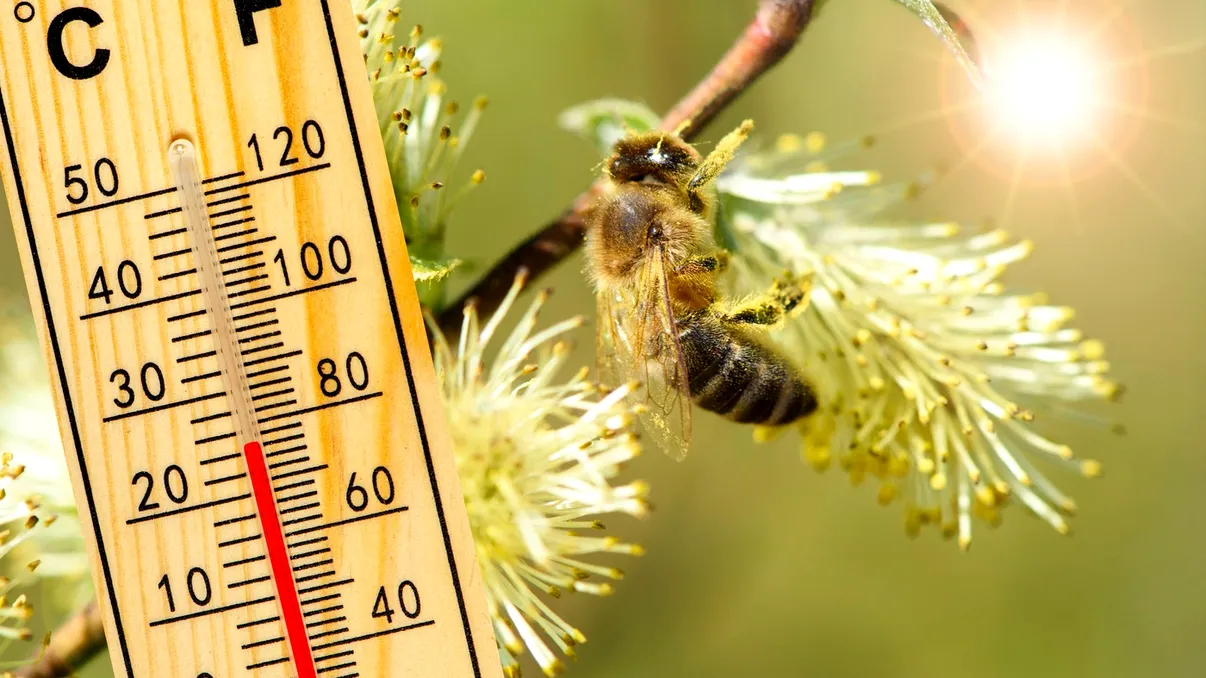 Vine primăvara. Temperaturile cresc brusc în toată ţara, anunţă ANM