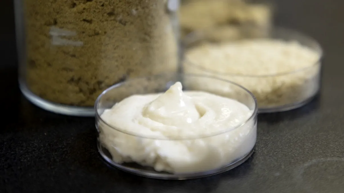 Brânza vegană din orez ar putea rezolva problema „fără proteine” din alternativele fără lactate