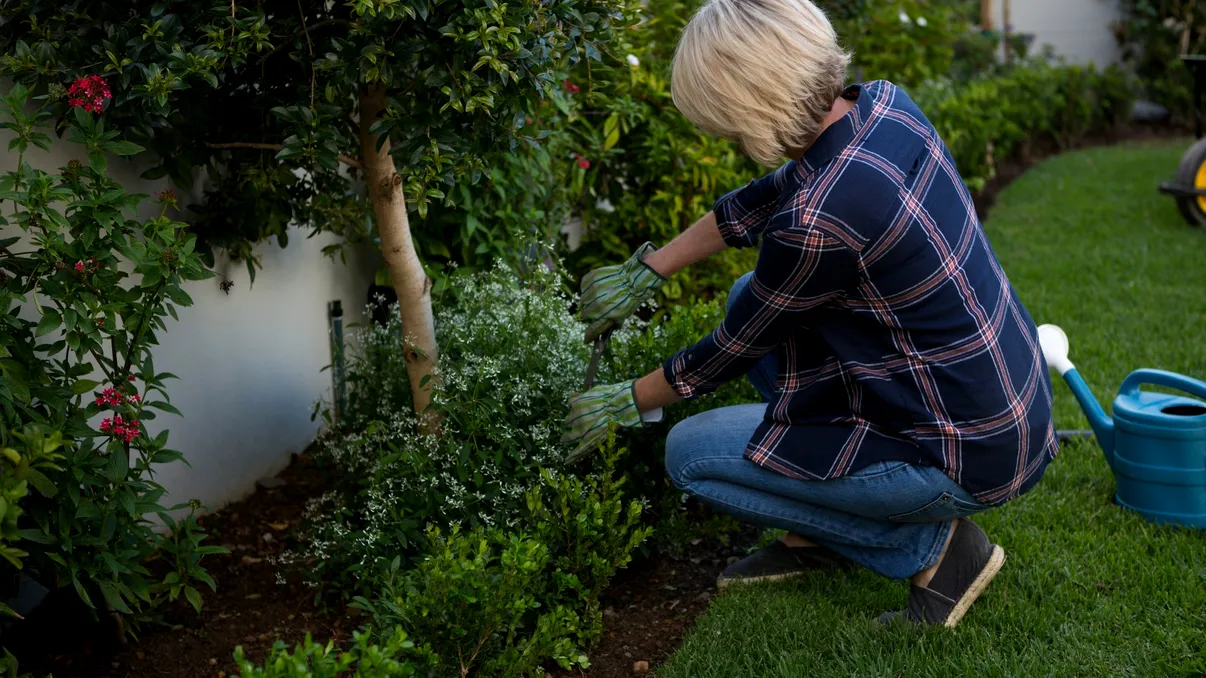 Plante care te scapă de buruienile din grădină. Trebuie plantate în martie