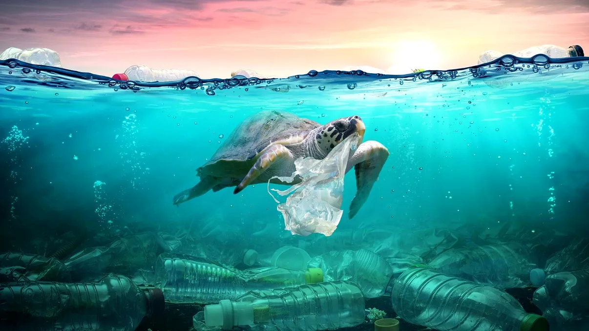 Plasticul „dispărut” din oceane a fost găsit, iar vestea este mai gravă decât se credea. Ce au aflat cercetătorii