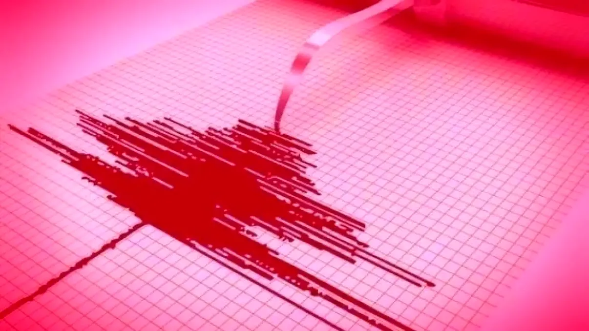 Avertizările înainte de cutremur. Ce pot și ce nu pot face sistemele dezvoltate de INFP