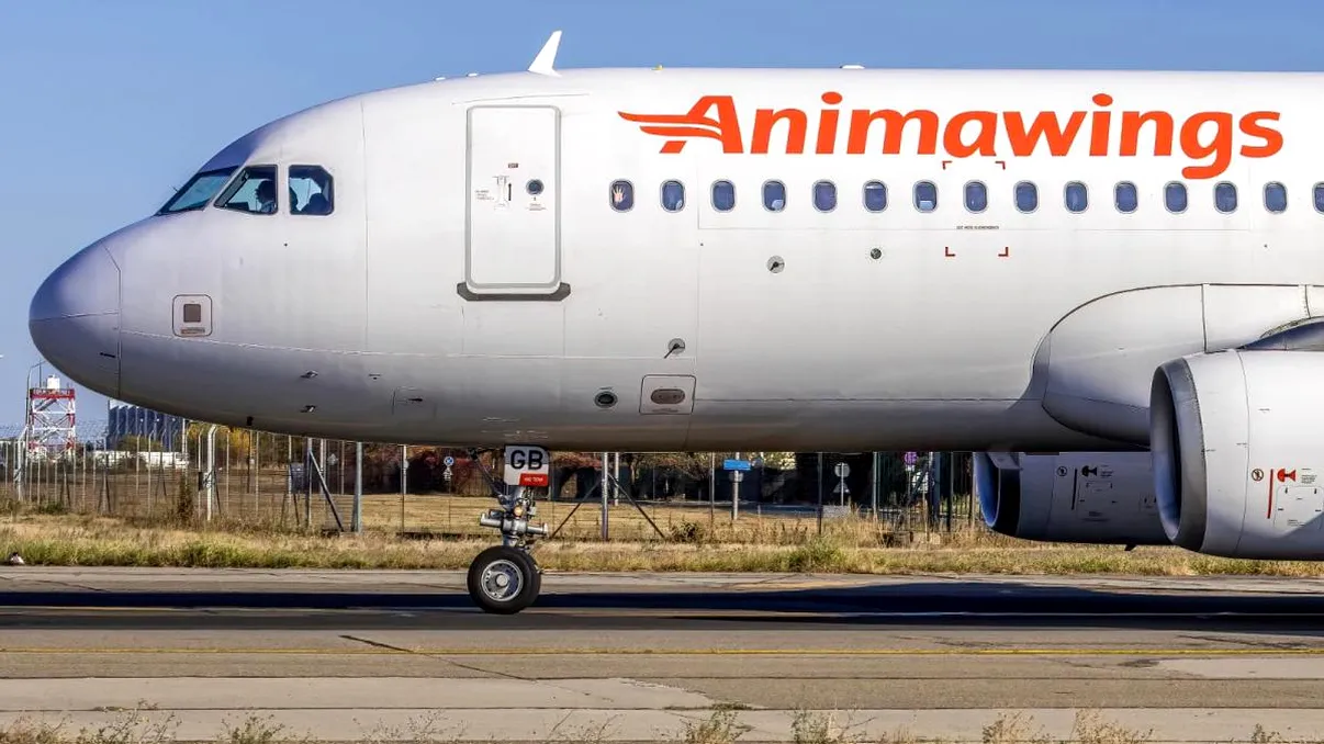 Anima Wings lansează noi rute în România. Oraşele europene în care poţi ajunge mai uşor din Bucureşti, Timişoara şi Cluj-Napoca