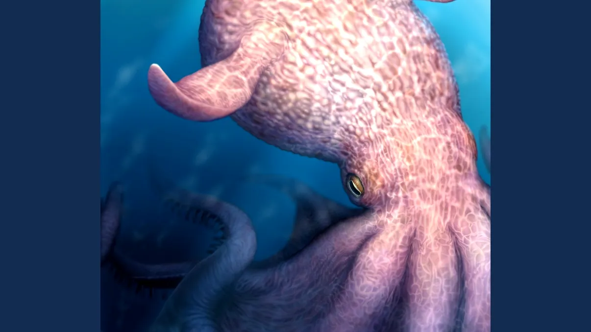 Krakenul nu a fost doar legendă: caracatițe uriașe de aproape 20 de metri dominau oceanele preistorice