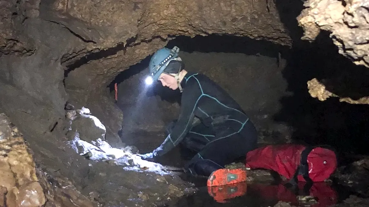 Descoperire spectaculoasă: o „capsulă a timpului” din era glaciară scoate la iveală animale uriașe dispărute