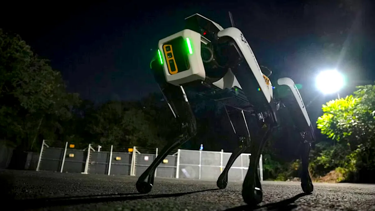 Paznicul viitorului nu cere salariu, dar costă cât un apartament: DroneDog intră la muncă
