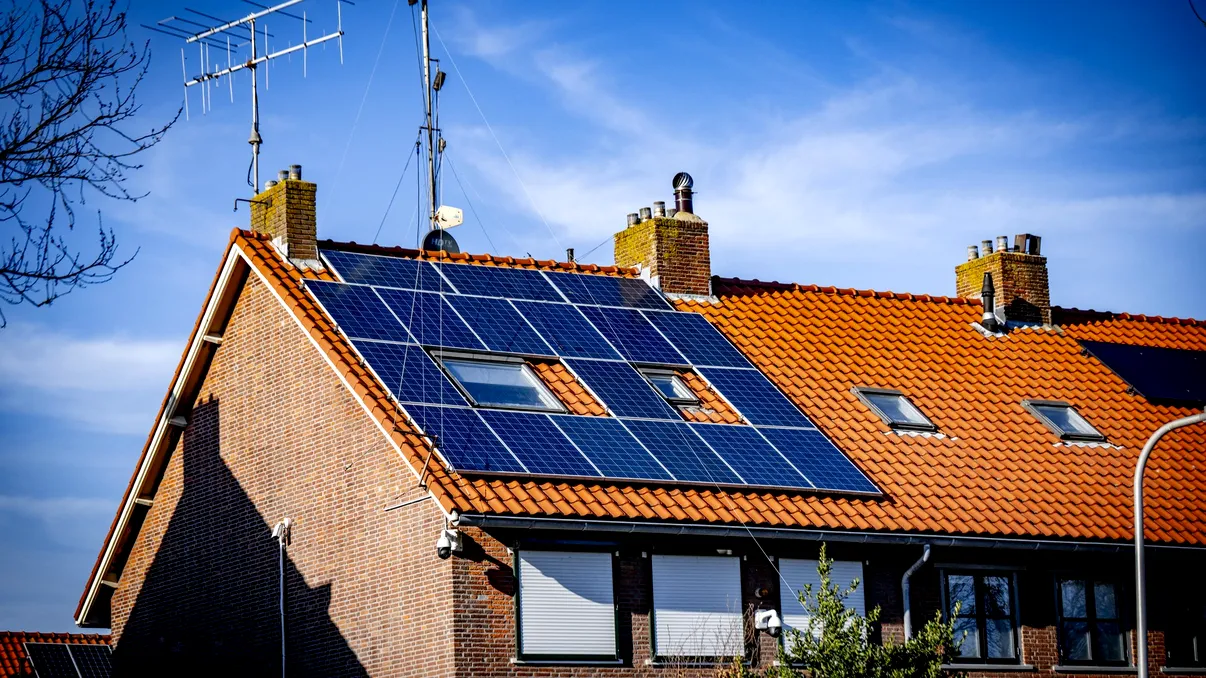 Revoluție în energia verde: „lemnul solar” care produce energie și după apus ar putea schimba tot