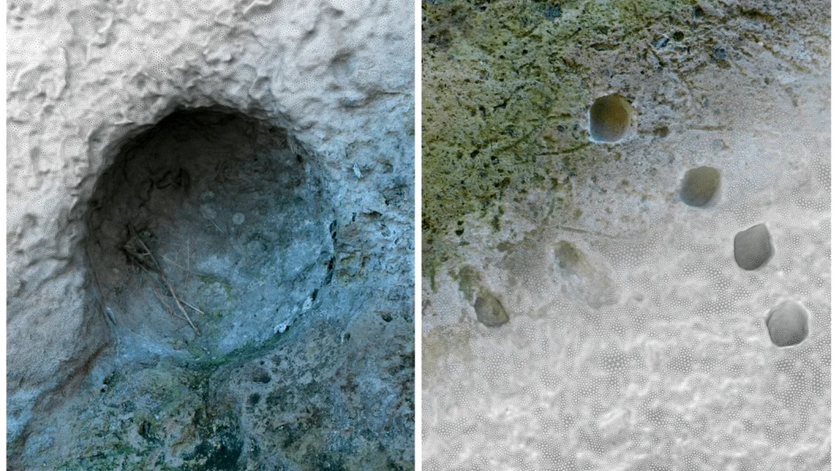 Romanii ar fi folosit o „mitralieră” antică la Pompeii: descoperirea care rescrie istoria armelor