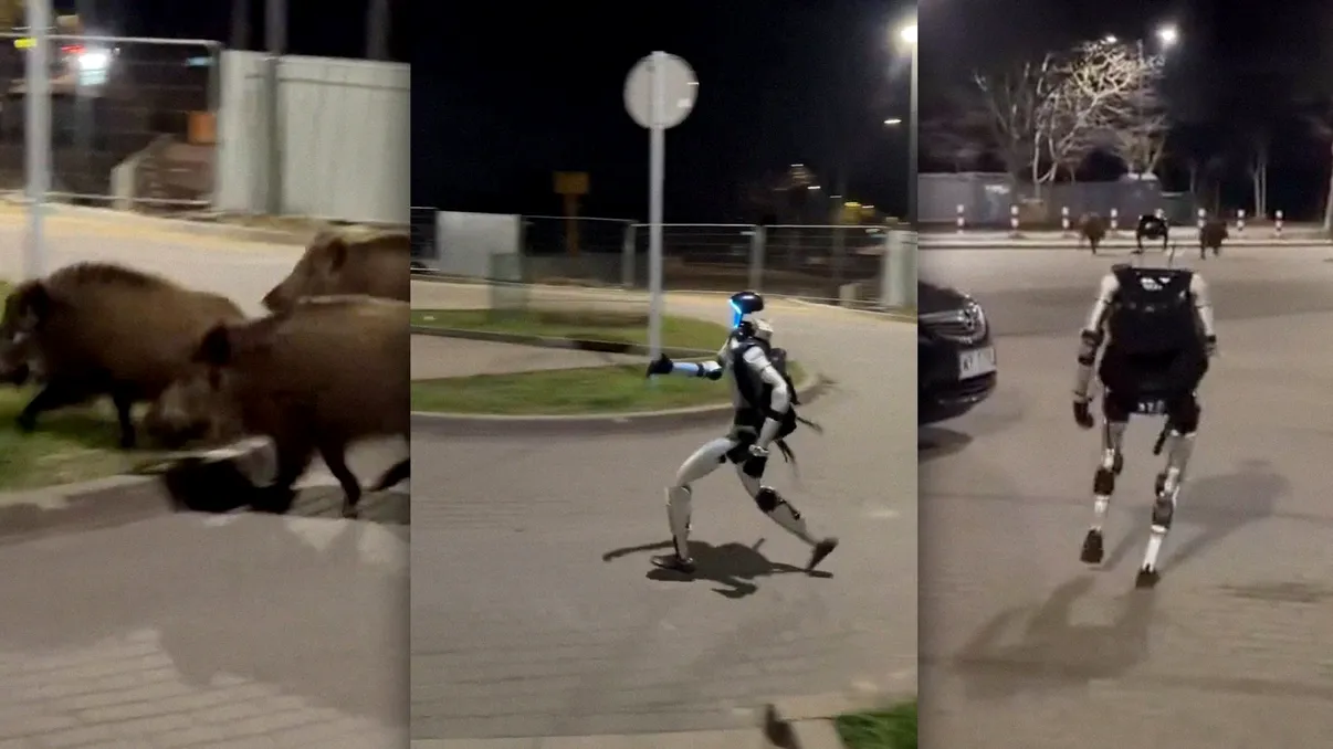 Un robot umanoid a fost filmat în timp ce aleargă după mistreți în Europa: imaginile virale care au făcut internetul să explodeze