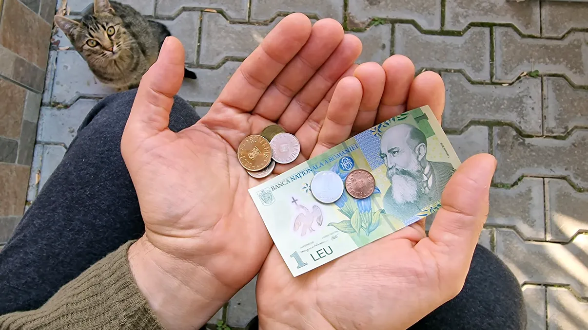 Ce spun românii despre creşterea monedei Euro, ce îi îngrijorează. „E grav. Mă duc să-mi cheltui toate economiile”