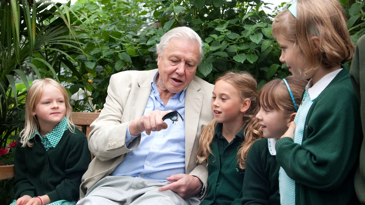 David Attenborough împlinește 100 de ani și devine mai influent ca niciodată: legenda documentarelor despre natură care a schimbat discursul despre climă