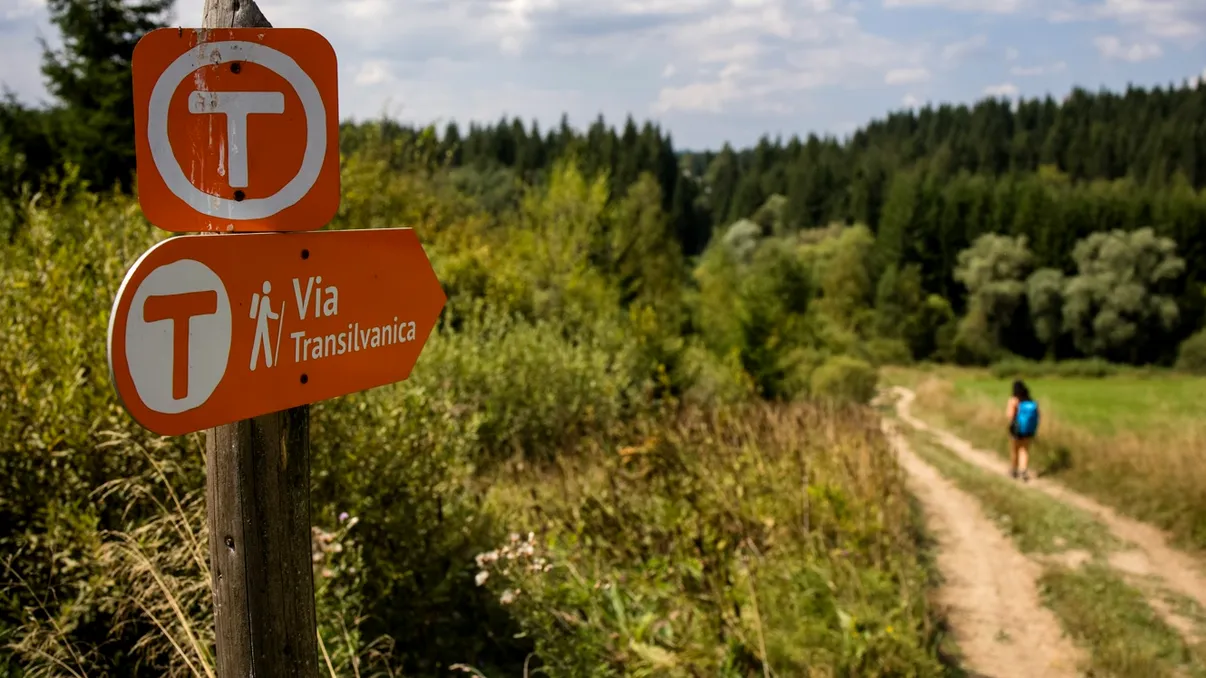 MedLife devine partener de sănătate și wellbeing în proiectul Via Transilvanica, „drumul care unește”