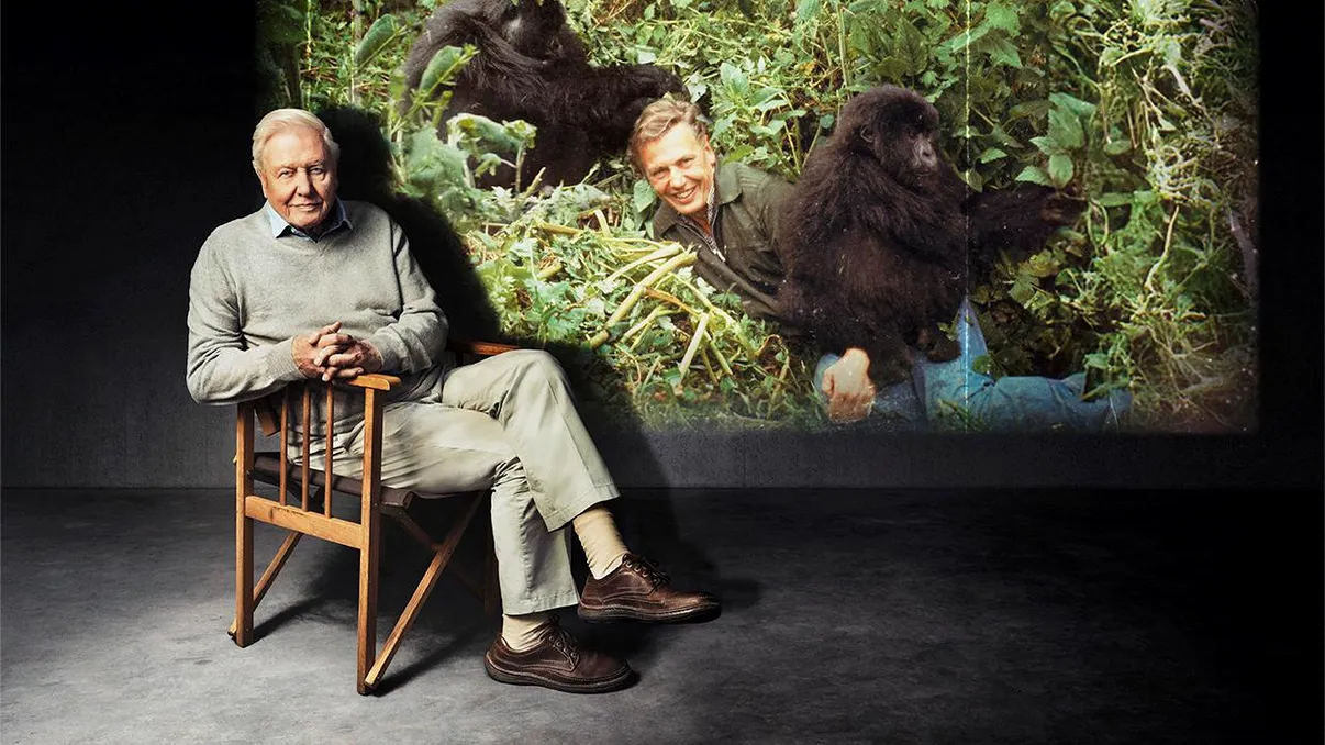 Sir David Attenborough, legenda documentarelor BBC despre natură, la 100 de ani. INTERVIU EXCLUSIV cu Tom Hugh-Jones despre „Wild London”, animale urbane și lecțiile primite de la celebrul realizator