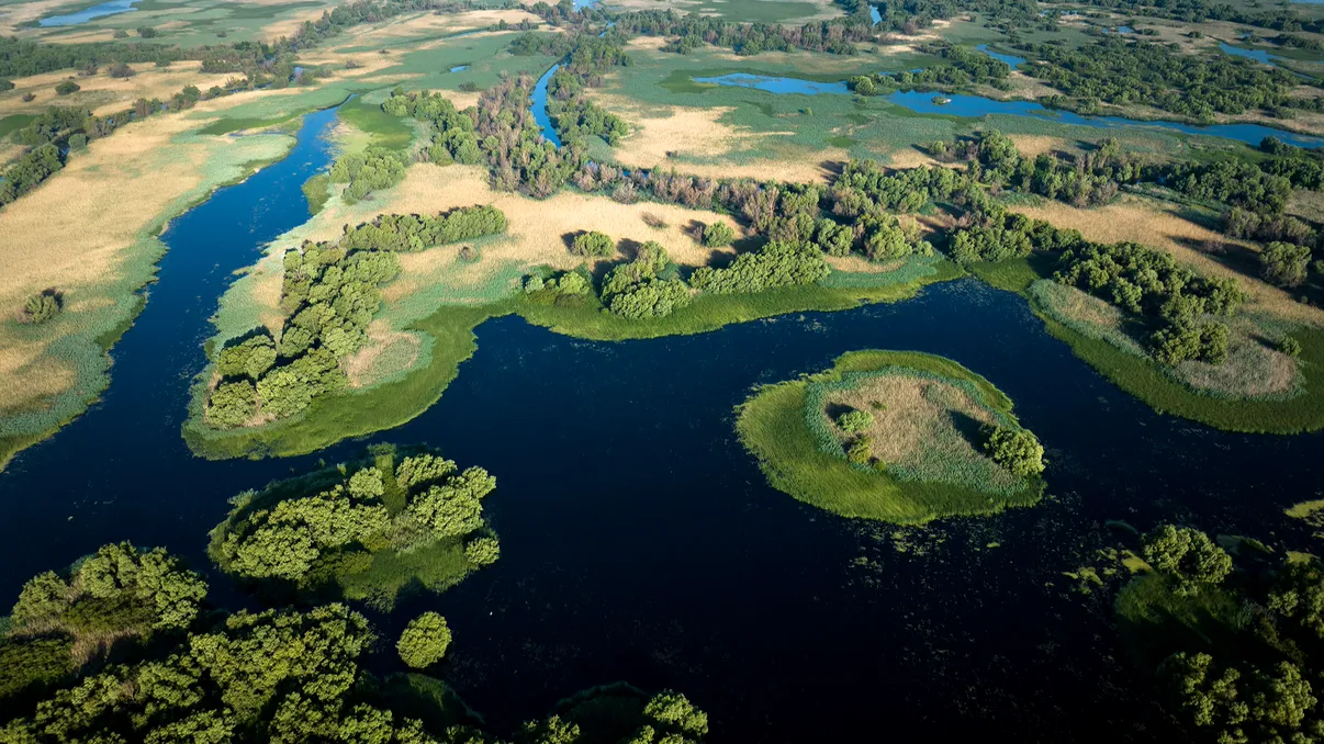 INTERVIU EXCLUSIV cu Dan Dinu, regizorul documentarului Delta Sălbatică: „Filmul nostru a fost creat pentru oricine vrea să înțeleagă mai bine ce înseamnă natura României”