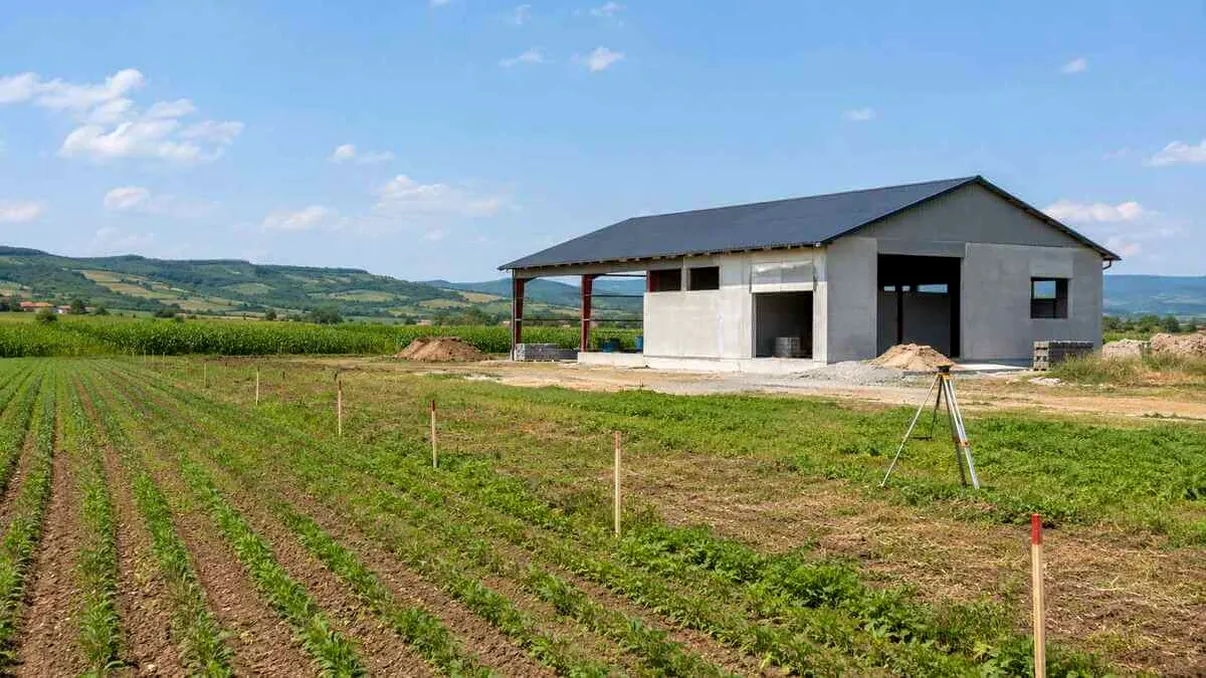 Lege nouă pentru construcțiile ridicate pe terenuri agricole. Cum ar putea intra în legalitate