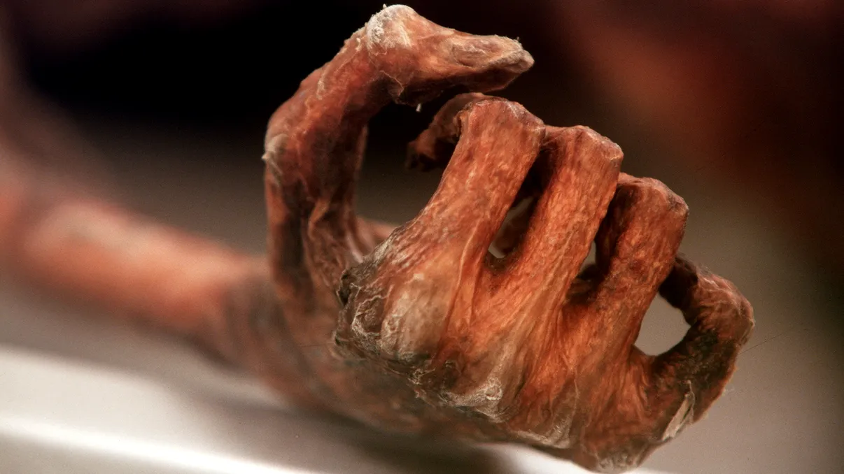 Ötzi, omul ghețurilor, mai ascundea un secret. Ce au aflat cercetătorii din microbii lui vechi de mii de ani