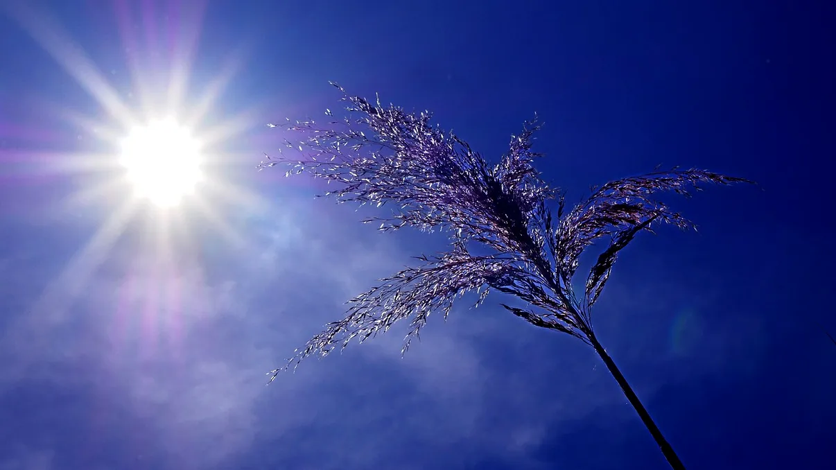 Valul de aer tropical ajunge în România. Zonele în care temperaturile vor depăşi 35 de grade