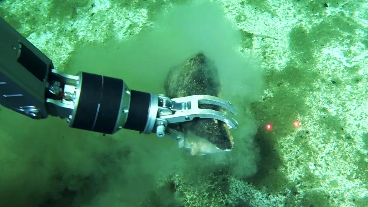Cimitirul de balene ascuns la 7.000 de metri adâncime. Descoperirea uriașă care poate rescrie istoria vieții din ocean