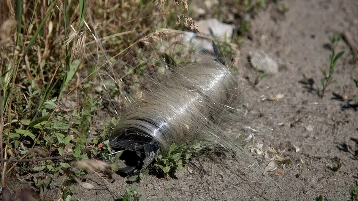 Imagini incredibile din Ucraina: ce au reușit păsările să facă din cablurile lăsate în urmă de drone